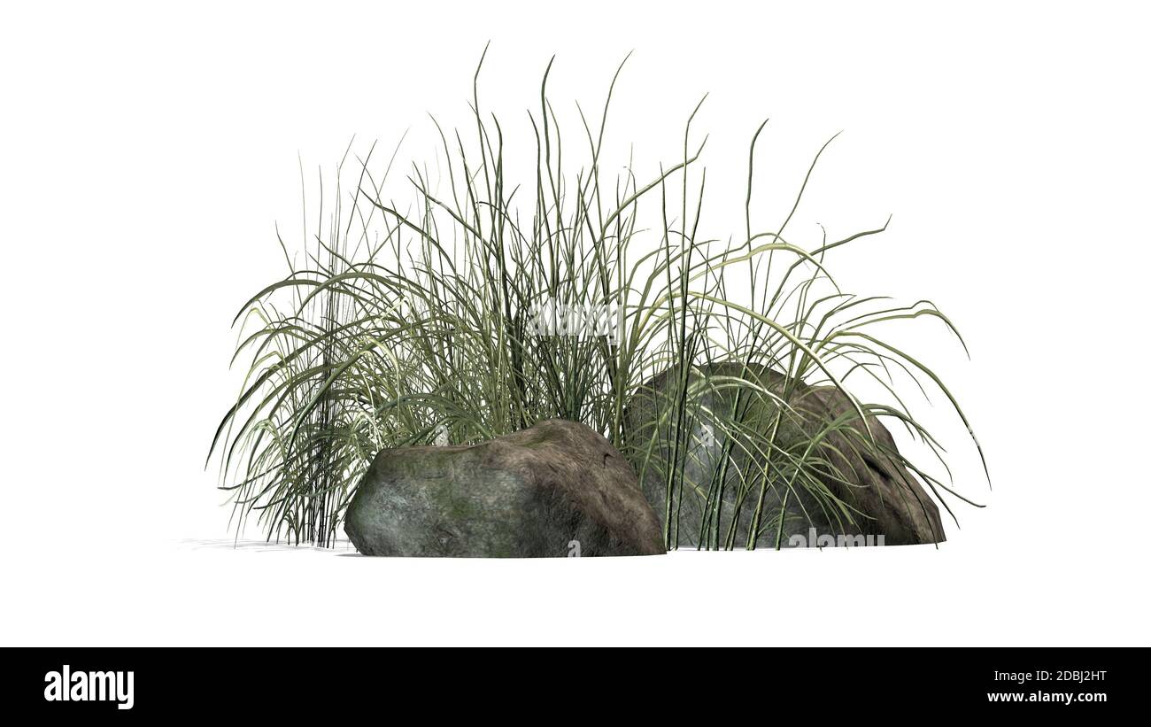 Raues Gras, Granitstein - isoliert auf weißem Hintergrund Stockfoto