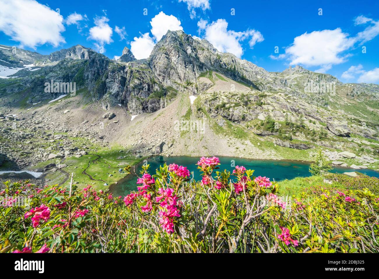 Sommerhimmel über Berggipfeln und Rhododendren, die den See Zancone, Orobie Alps, Valgerola, Valtellina, Lombardei, Italien, Europa umrahmt Stockfoto