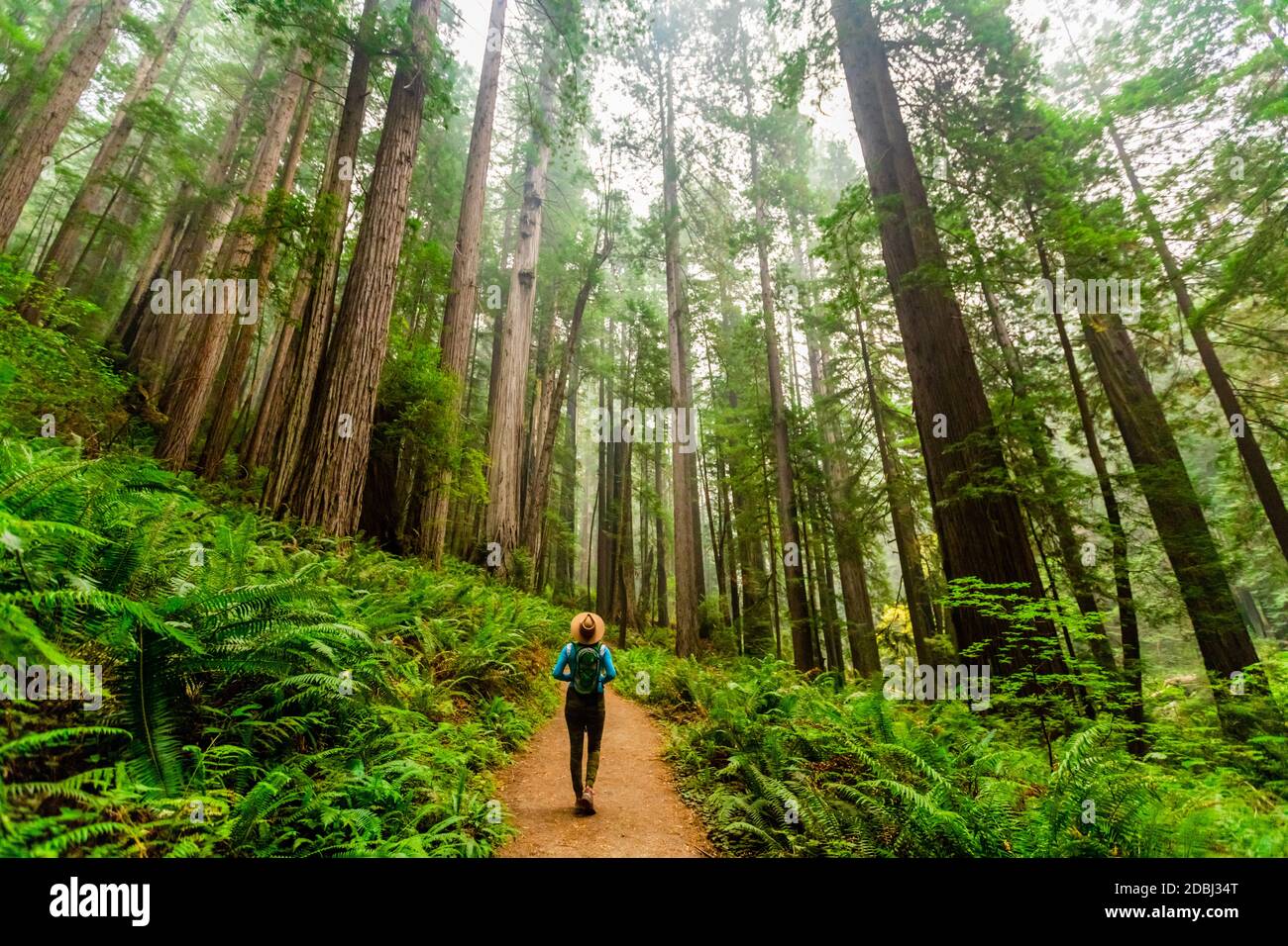 Frau beim Erkunden des Mount Shasta Forest, Kalifornien, USA, Nordamerika Stockfoto