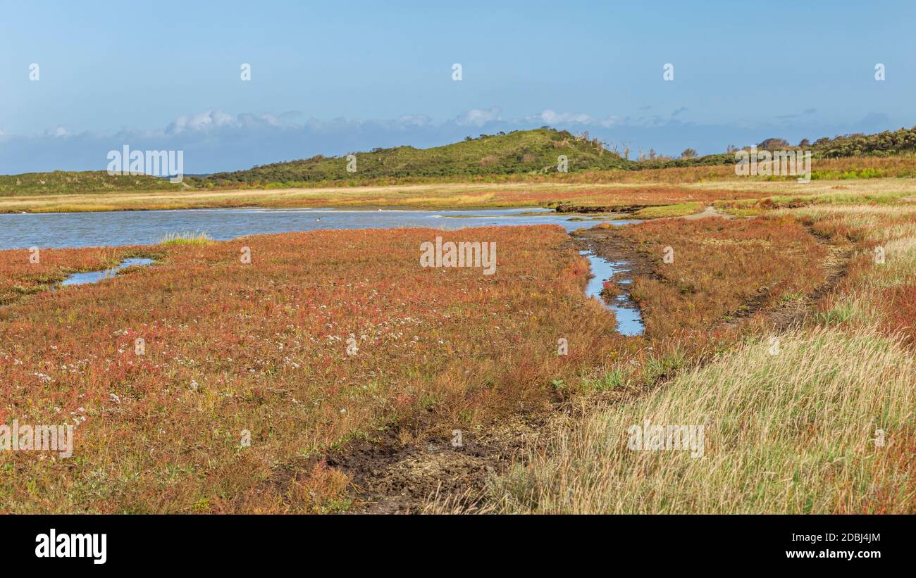 Panorama des Naturparks De Slufter auf der Watteninsel Texel, Nordholland, Niederlande Stockfoto