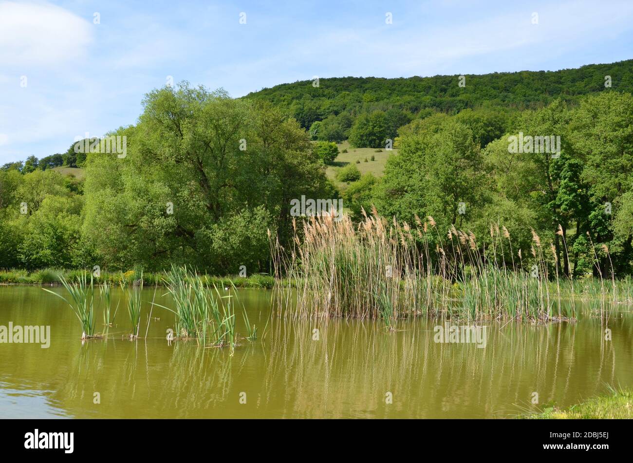 Thüringen berge Fotos und Bildmaterial in hoher Auflösung Alamy