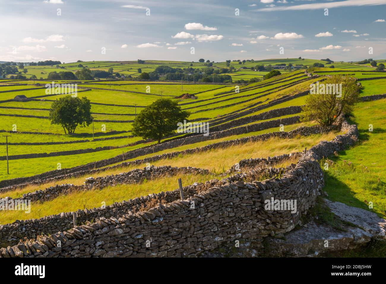 Blick auf Trockenmauern in der Nähe von Litton, Peak District National Park, Derbyshire, England, Großbritannien, Europa Stockfoto
