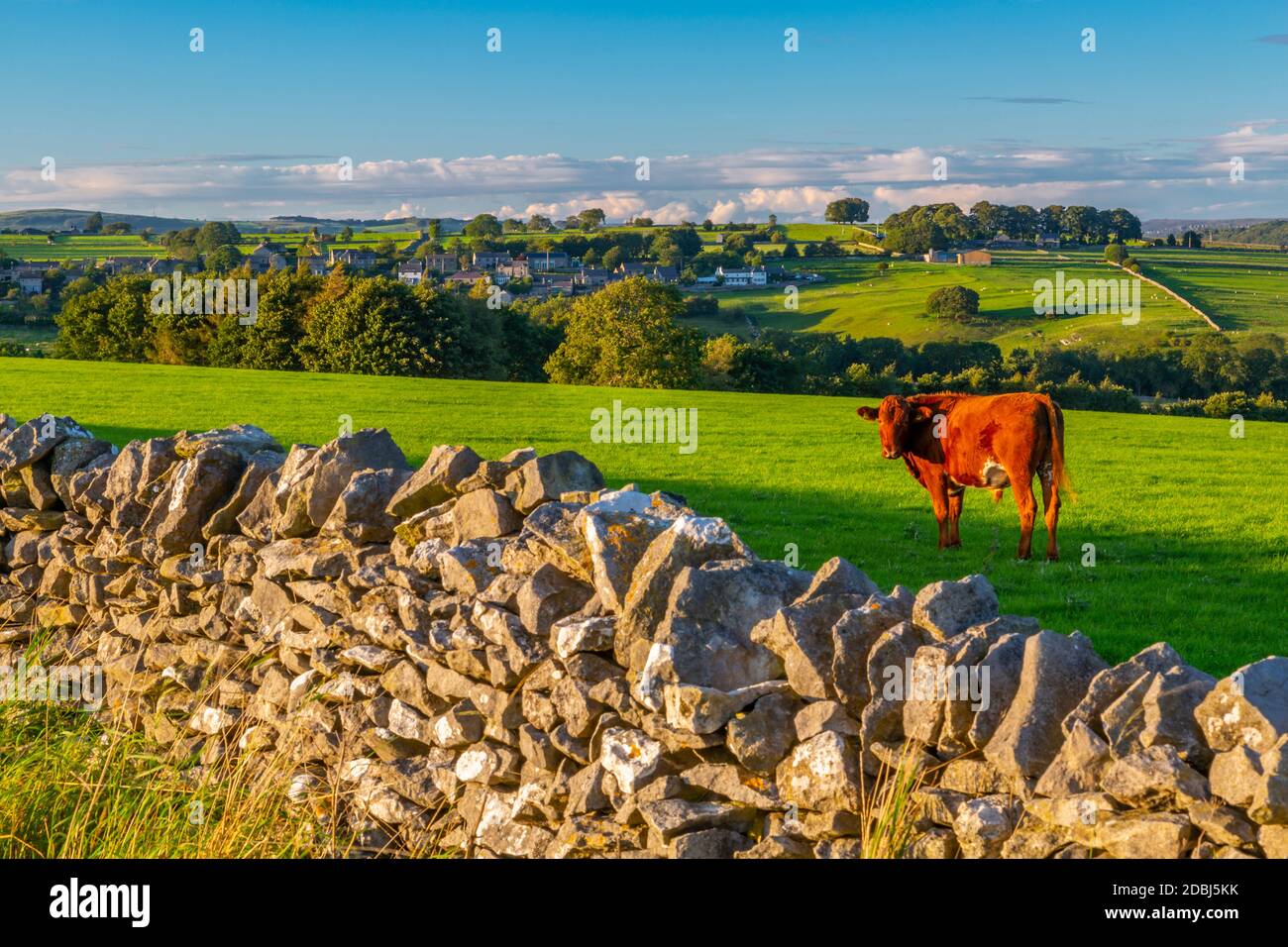 Blick auf Trockenmauern und über Haddon Dorf, Peak District National Park, Derbyshire, England, Großbritannien, Europa Stockfoto