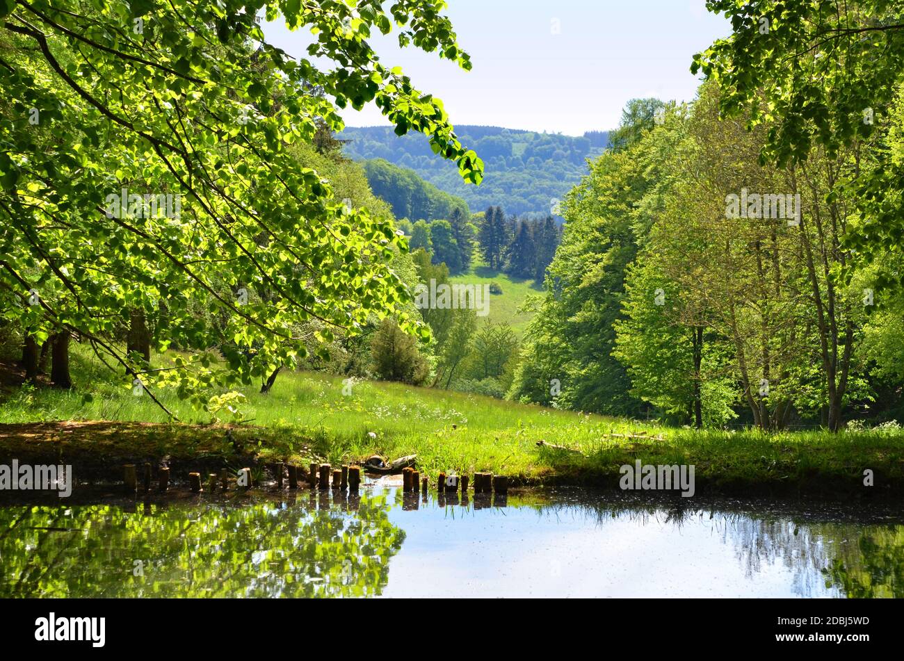 Fischteich in der schönen RhÃ¶n Stockfoto