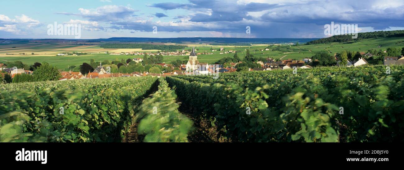 Blick über die Weinberge der Champagne auf das Dorf Villedommange (Ville Dommange) von der Kapelle Saint-Lie, Champagne Region, Marne, Frankreich, Europa Stockfoto