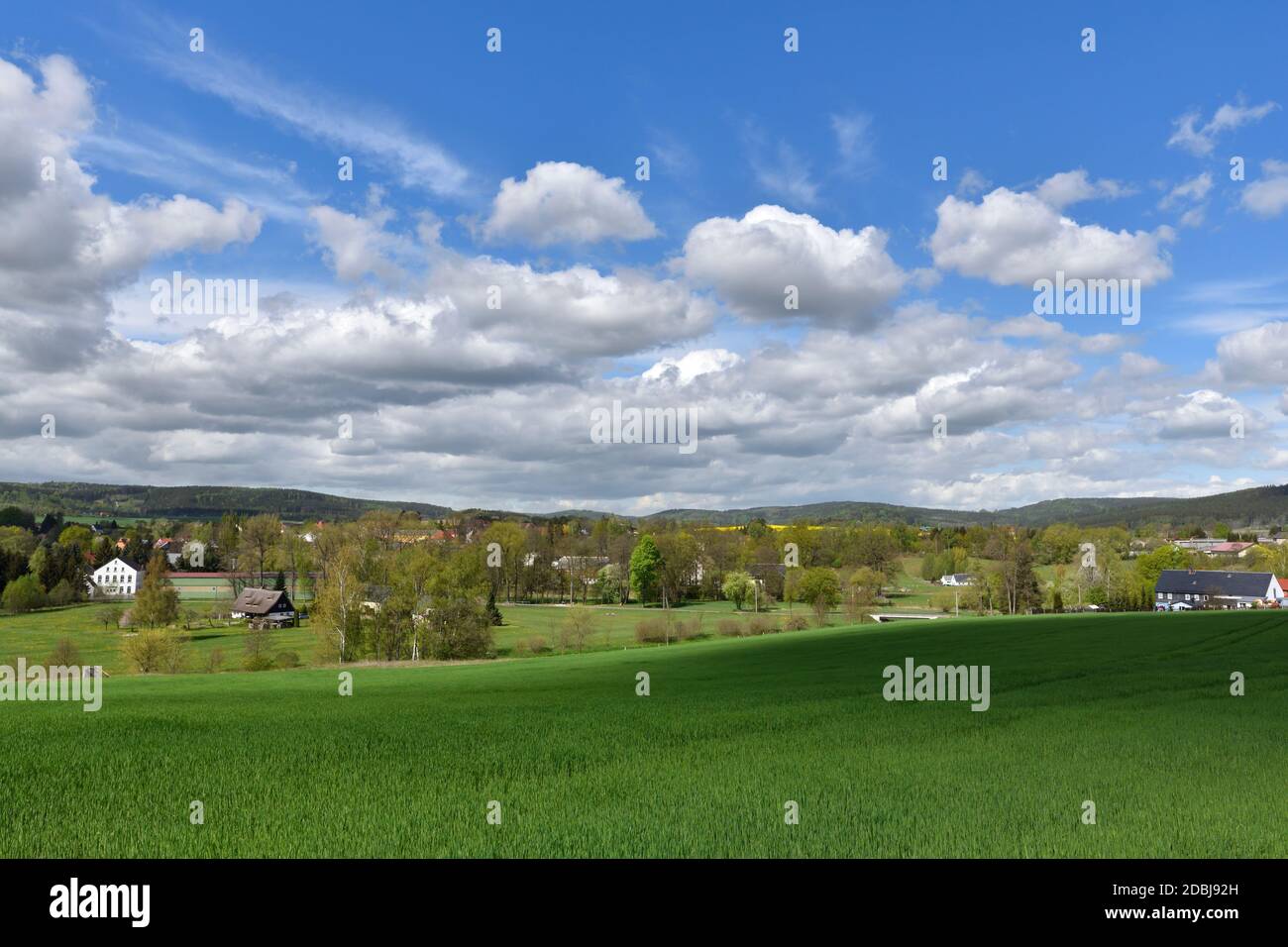 Morgen im Frühling in sohland in der oberlausitz Stockfoto