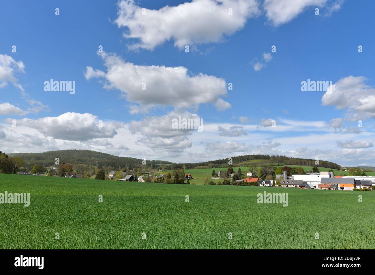Frühling in Taubenheim in der oberlausitz in sachsen Stockfoto