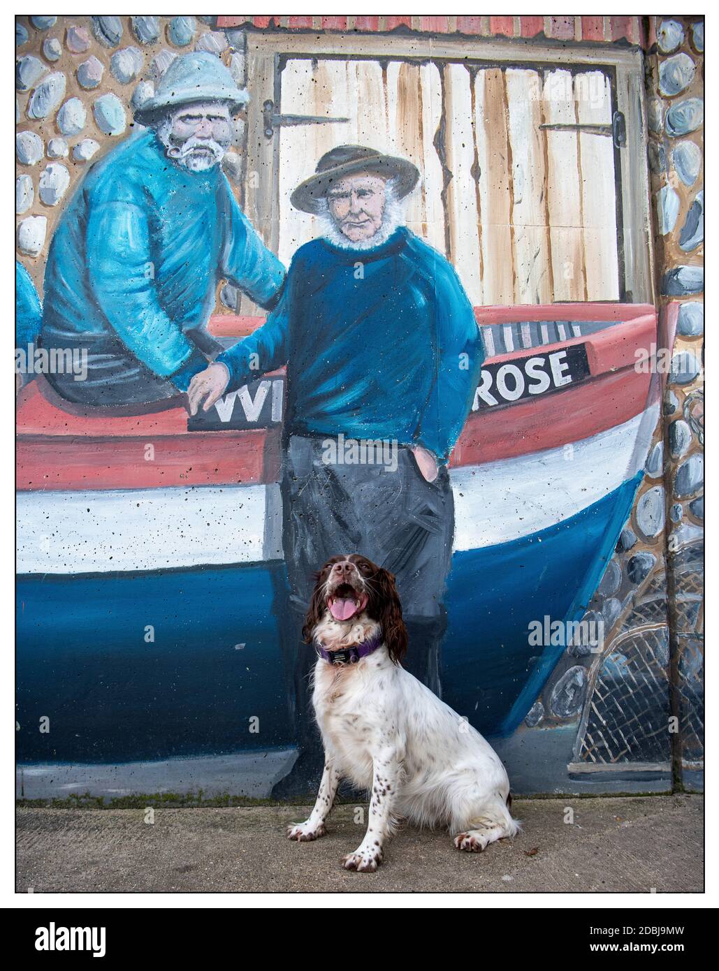 Hund im Bild mit altem Kapitän Stockfoto