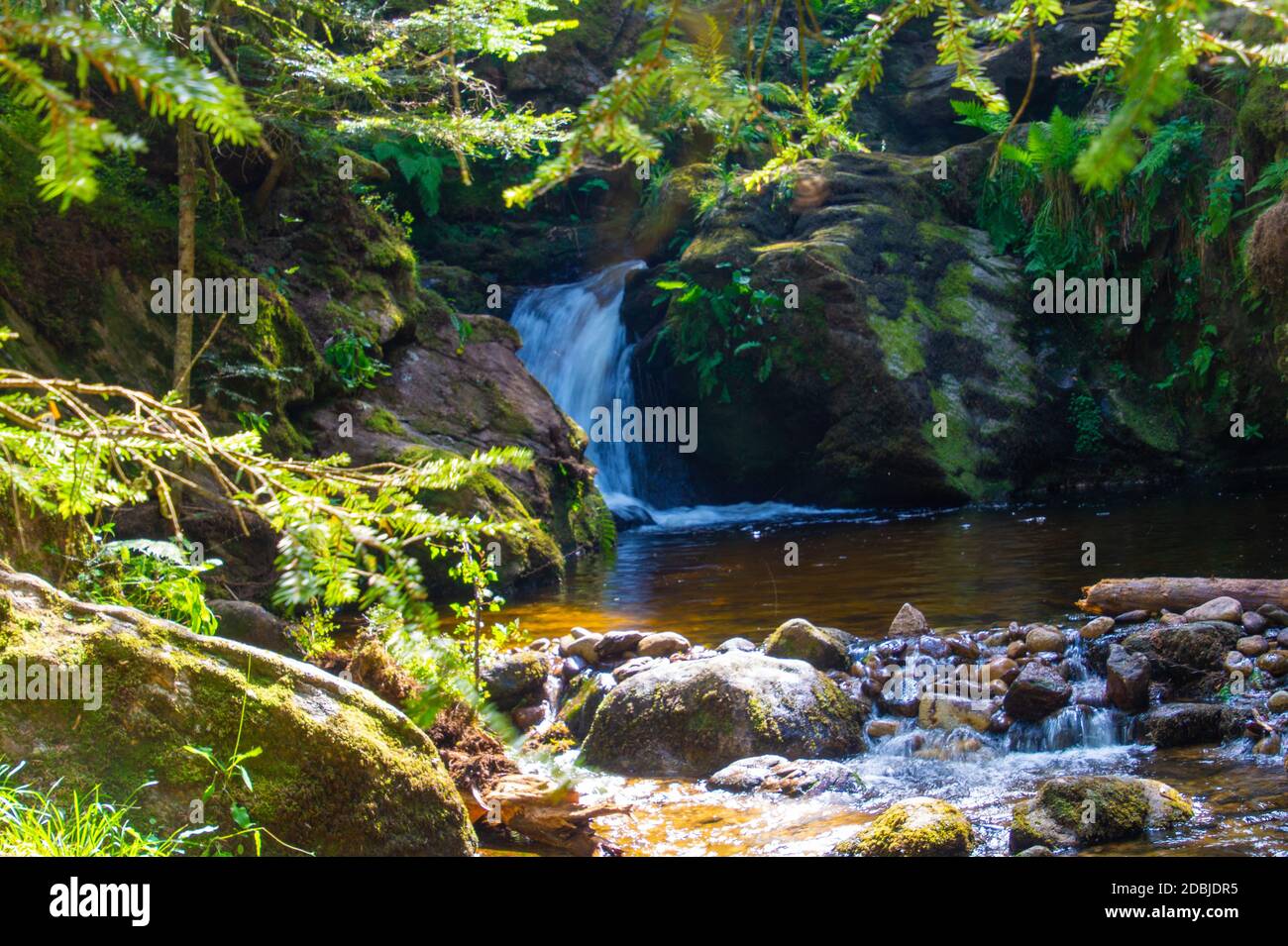 Chorsin, Loire, Frankreich Stockfoto