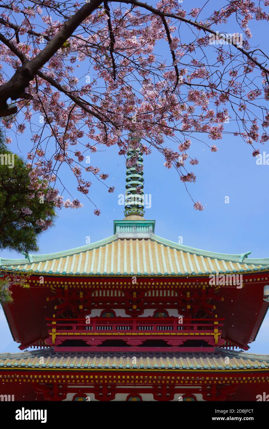 Spring Takamichi Mountain (Yokohama City, Präfektur Kanagawa) Stockfoto