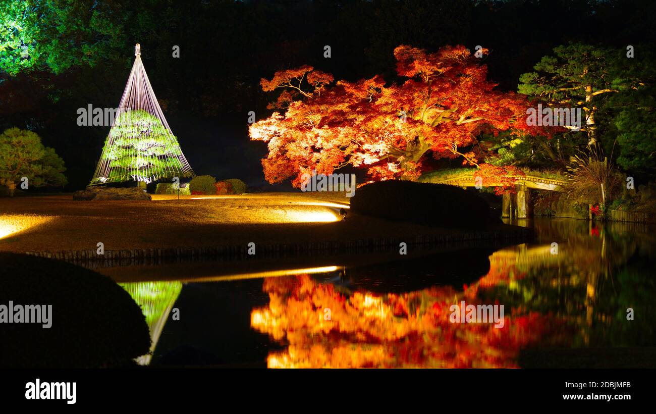 Japanisches Gartenbild Stockfoto
