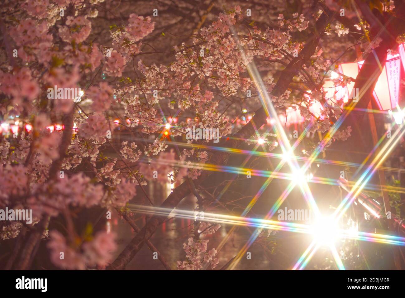 Sakura-Bild des Flusses Meguro Stockfoto