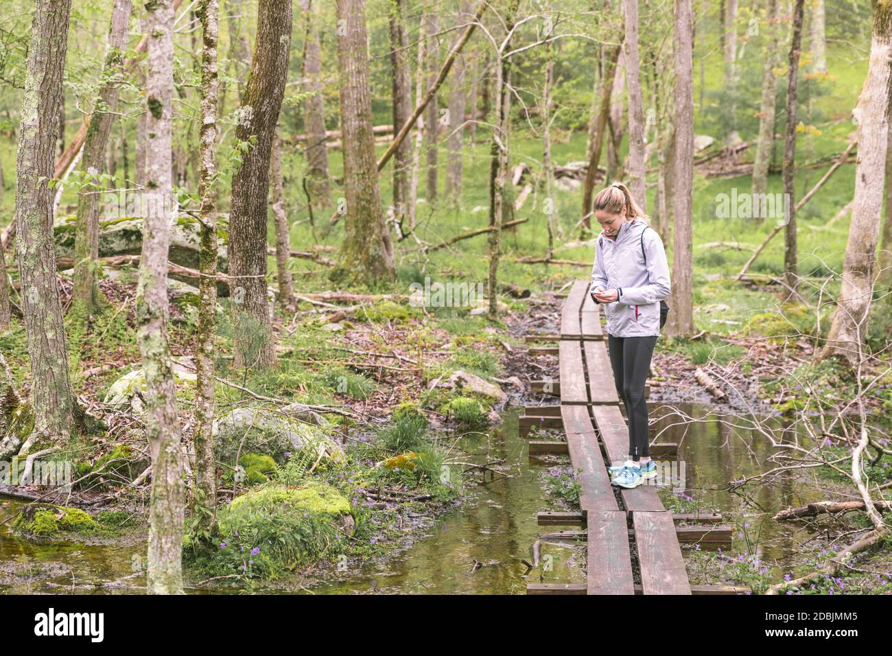 Frau beim Wandern im Wald, West Greenwich, Rhode Island, USA Stockfoto