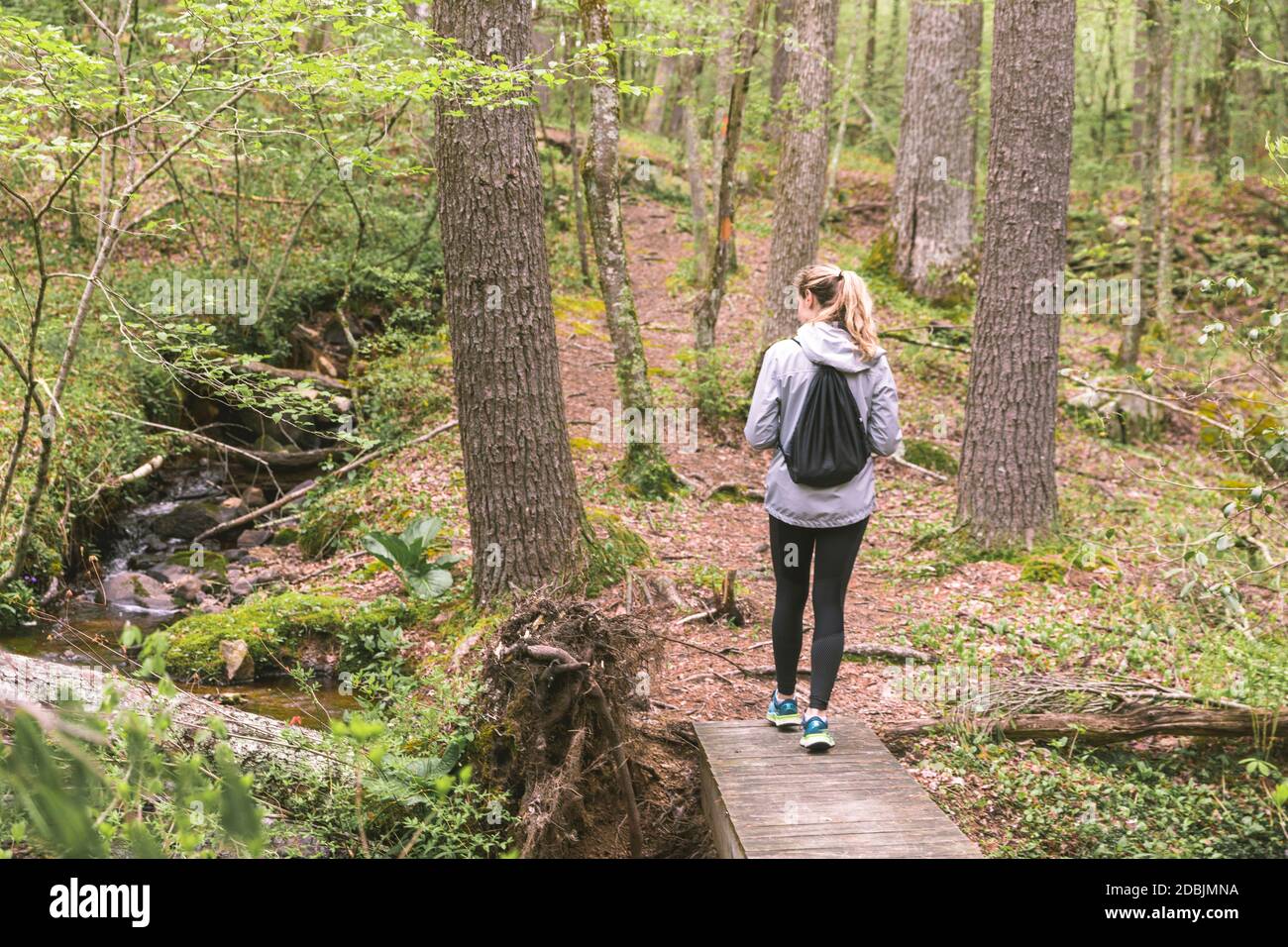 Frau beim Wandern im Wald, West Greenwich, Rhode Island, USA Stockfoto