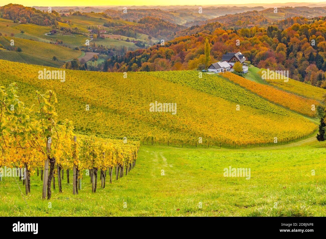 Herbstlandschaft mit südsteirischen Weinbergen, bekannt als österreichische Toskana, ein charmantes Region an der Grenze zwischen Österreich und Slowenien mit Rolling Hügel Stockfoto