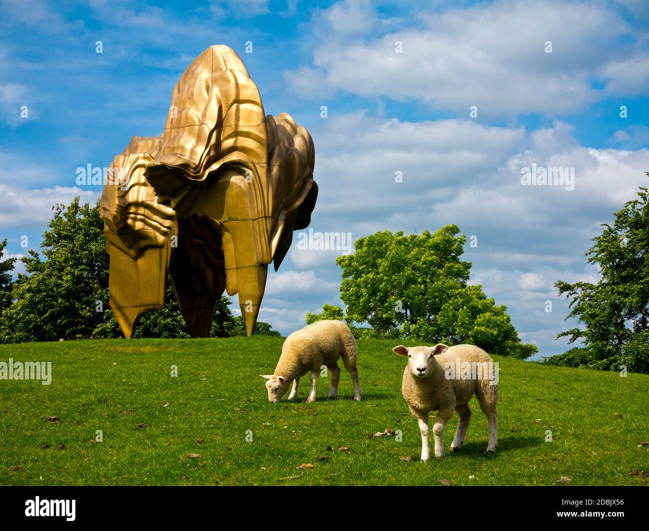 Schafe grasen im Yorkshire Sculpture Park Wakefield England 2017 in der Nähe Bronze Skulptur Caldera von Tony Cragg im Jahr 2008 erstellt. Stockfoto