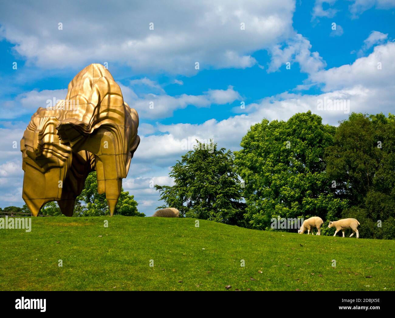 Schafe grasen im Yorkshire Sculpture Park Wakefield England 2017 in der Nähe Bronze Skulptur Caldera von Tony Cragg im Jahr 2008 erstellt. Stockfoto