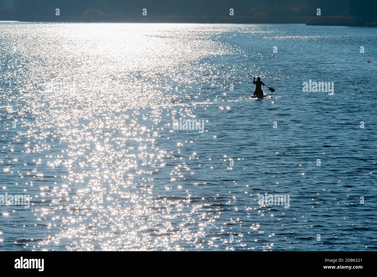 Frau aktiv im SUP, Stand-Up-Paddling am Selker Noor See, Busdorf bei Schleswig, Schleswig-Holstein, norddeutschland, Mitteleuropa Stockfoto