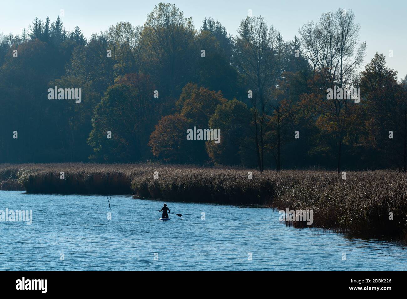 Frau aktiv im SUP, Stand-Up-Paddling am Selker Noor See, Busdorf bei Schleswig, Schleswig-Holstein, norddeutschland, Mitteleuropa Stockfoto