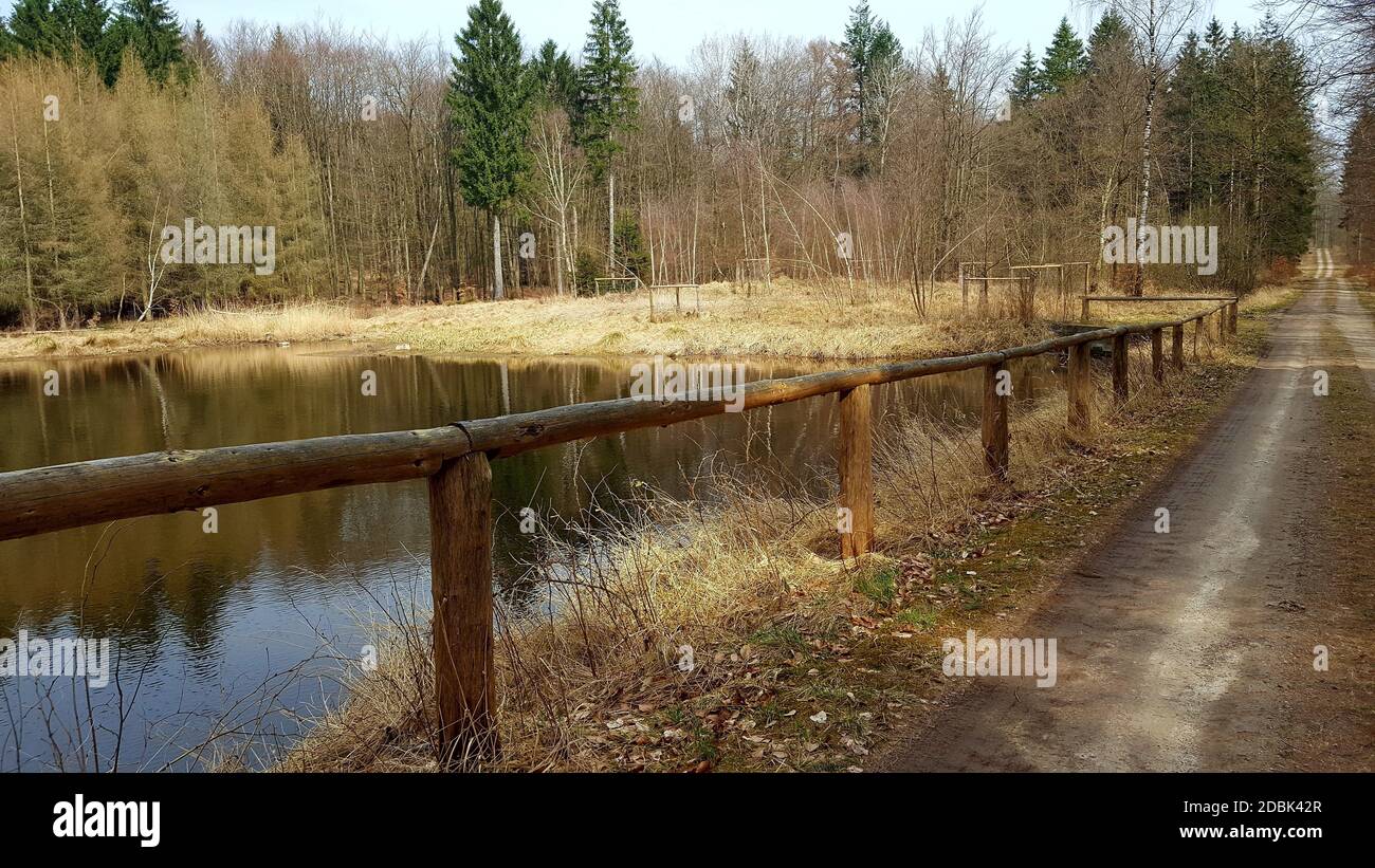 Ruhiger Waldteich Stockfoto