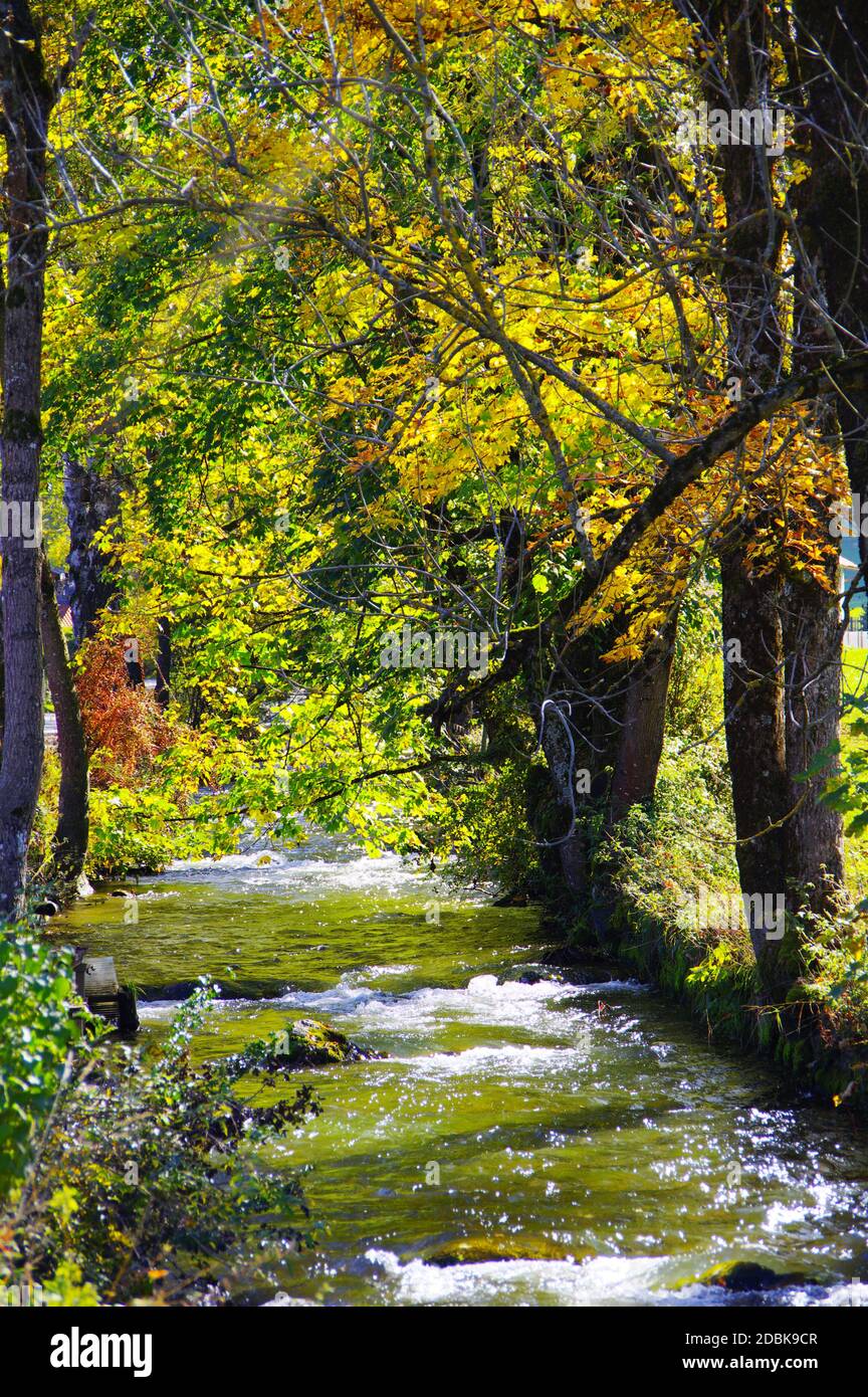 Idyllischer Bergbach mit Bäumen in Herbstfarben am Ufer in schönem Sonnenlicht Stockfoto