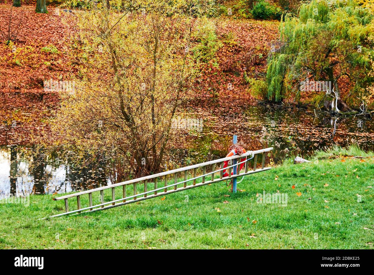 Leiter und orangefarbene Rettungsboje am Rande eines Sees in einem Park. Stockfoto