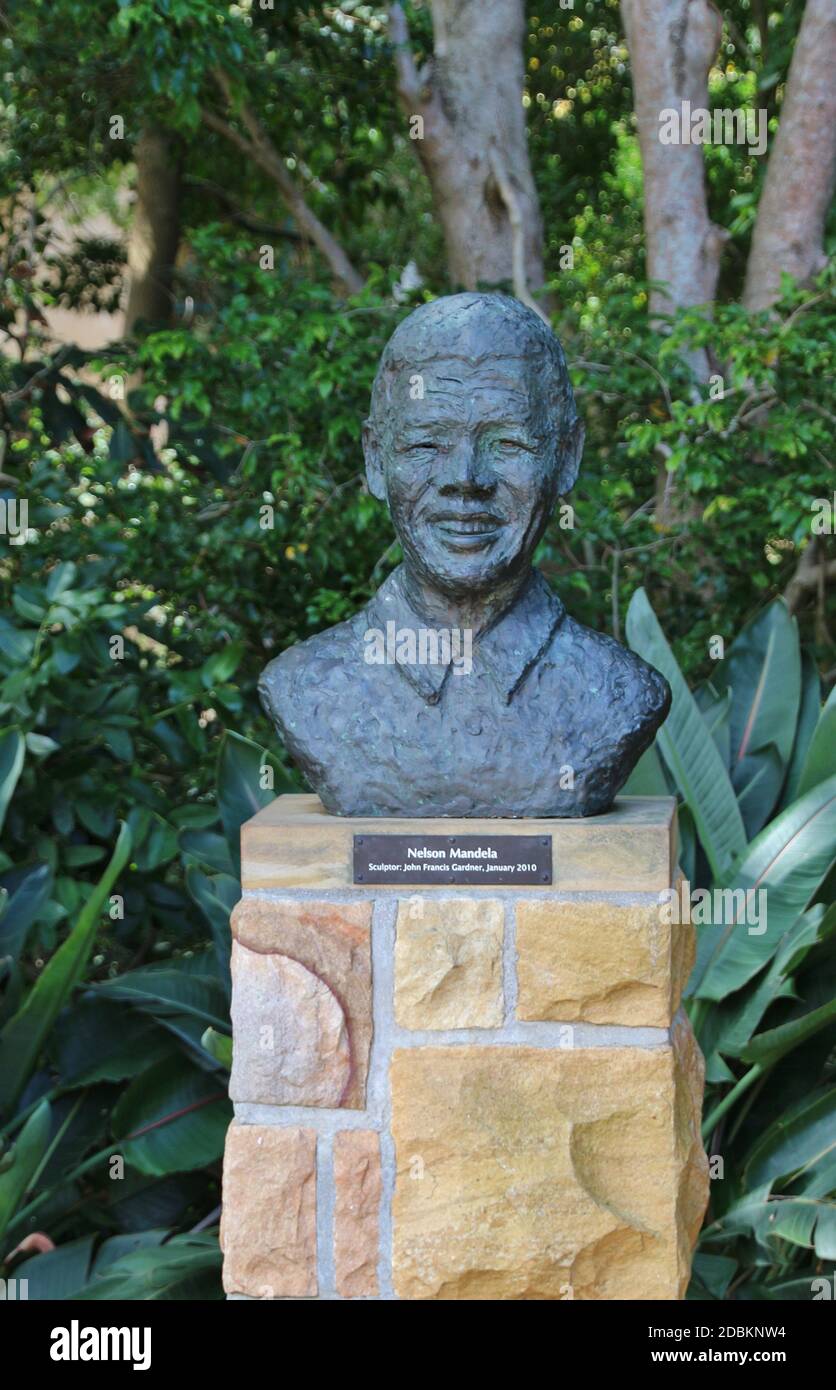 Statue des berühmten Revolutionärs und Staatsmannes Nelson Mandela. Kirstenbosch National Botanical Garden, in der Nähe von Kapstadt. Südafrika, Afrika. Stockfoto