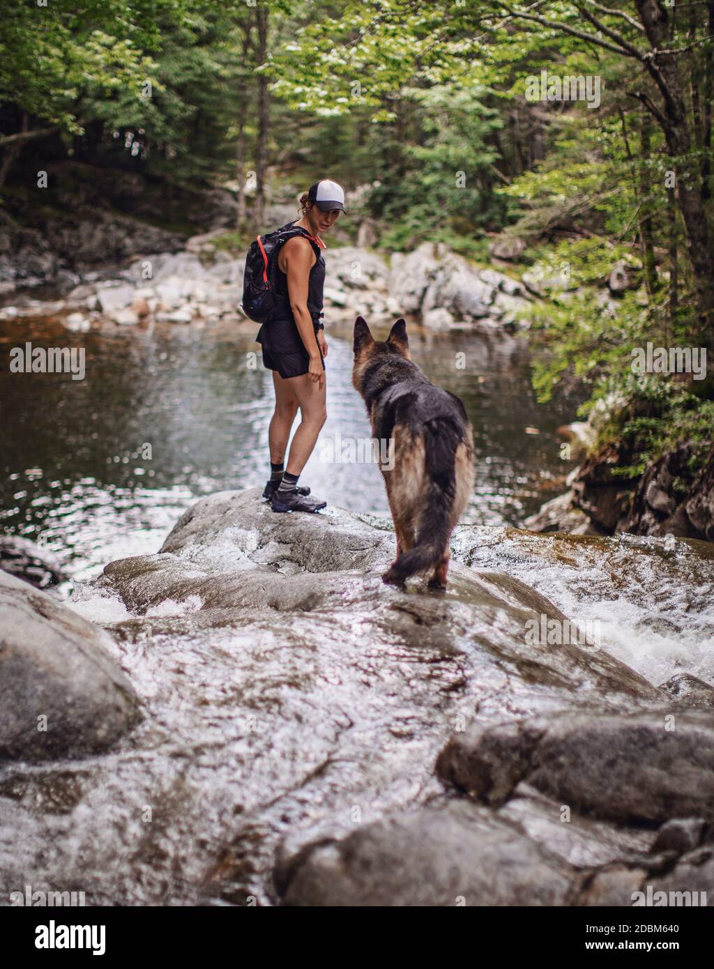 Hikerin mit Hund, White Mountains, New Hampshire, USA Stockfoto