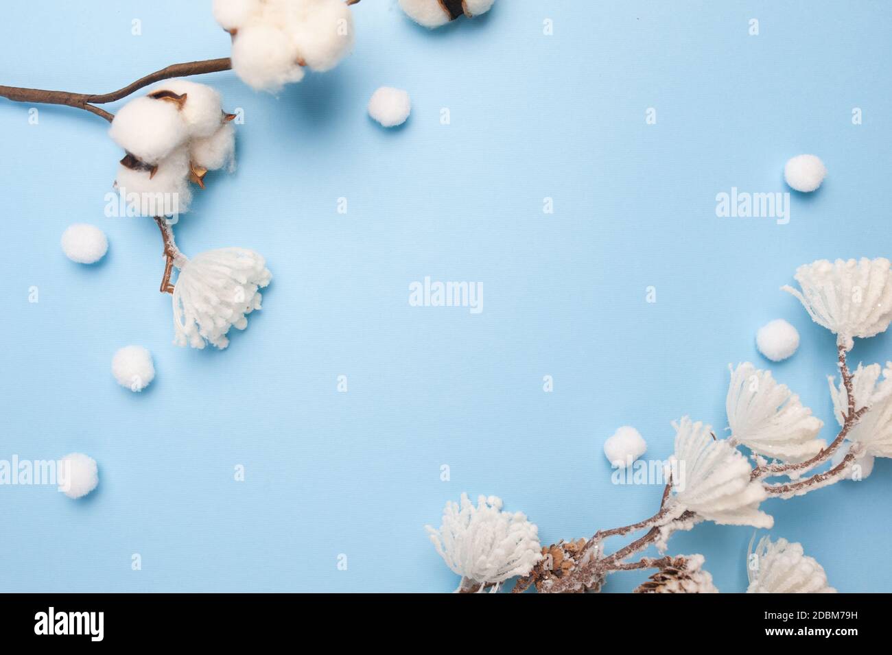 Nachbildung von Eukalyptusblättern und Baumwollpflanze mit Platz für Text auf blauem Hintergrund. Kranz aus Ästen, Zapfen. Flach liegend, Draufsicht Stockfoto