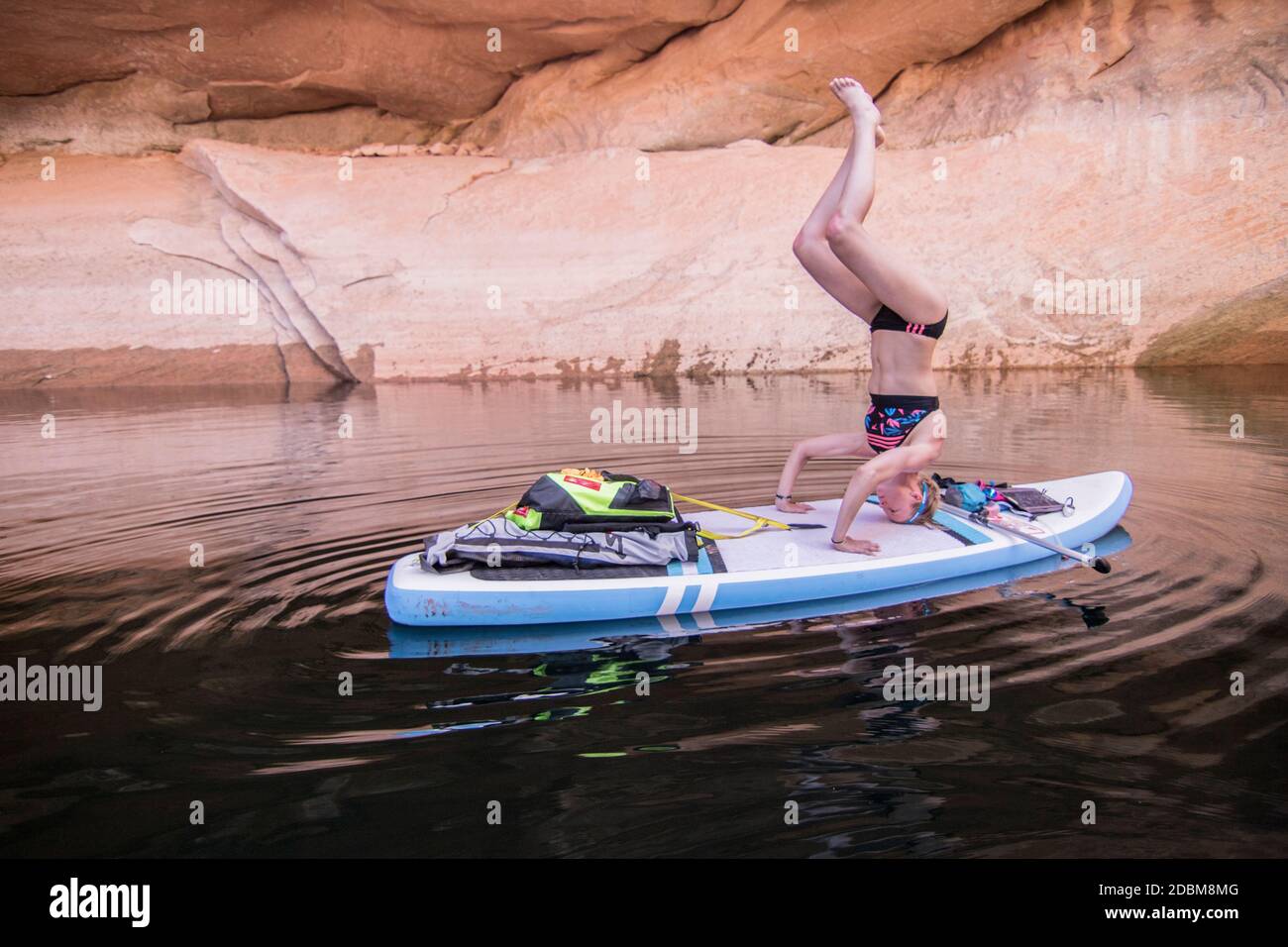 Frau in Kopfstand-Position auf dem Paddelbrett, Lake Powell, Utah, USA Stockfoto