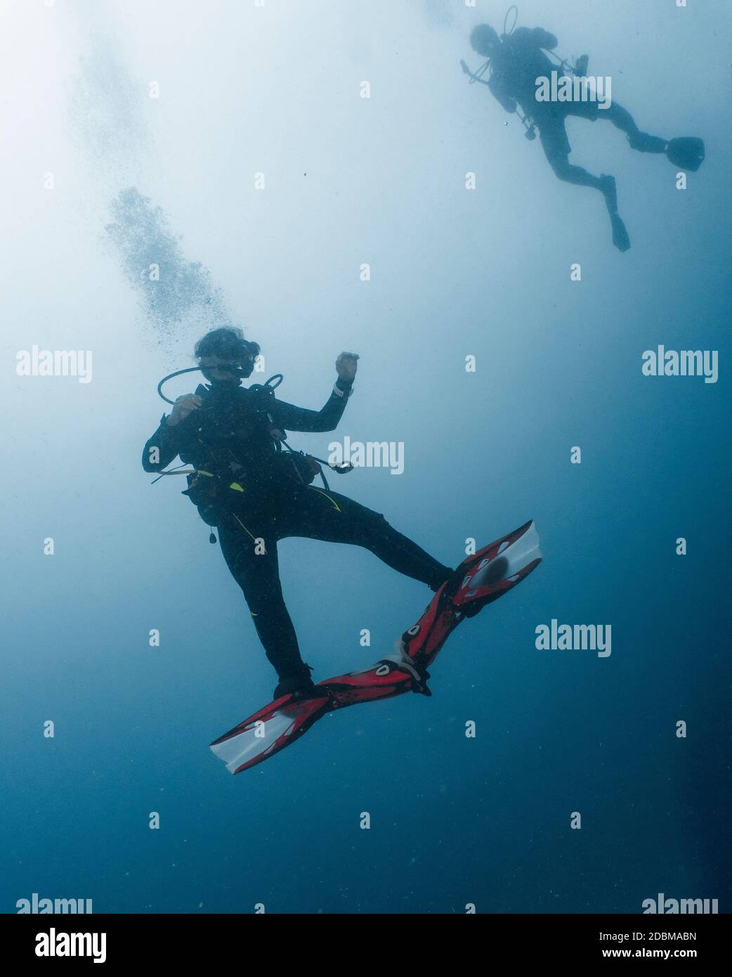 Tauchen im inÃ‚Â AriÃ‚Â-Atoll auf den Malediven Stockfoto