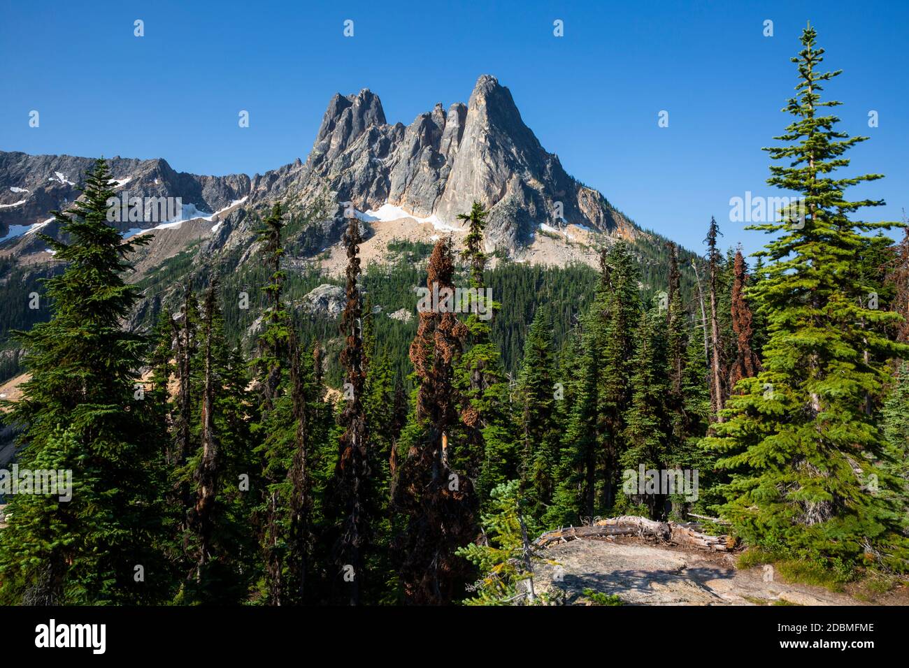 WA18162-00...WASHINGTON - Blick auf Libery Bell und die frühen Winters Spitzen vom Washington Pass aus blicken auf die North Cascades Scenic Byway. Stockfoto