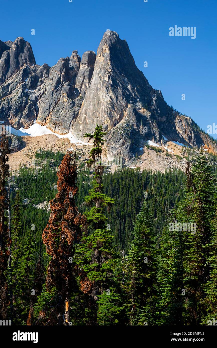 WA18163-00...WASHINGTON - Blick auf Libery Bell und die frühen Winters Spitzen vom Washington Pass aus blicken auf die North Cascades Scenic Byway. Stockfoto