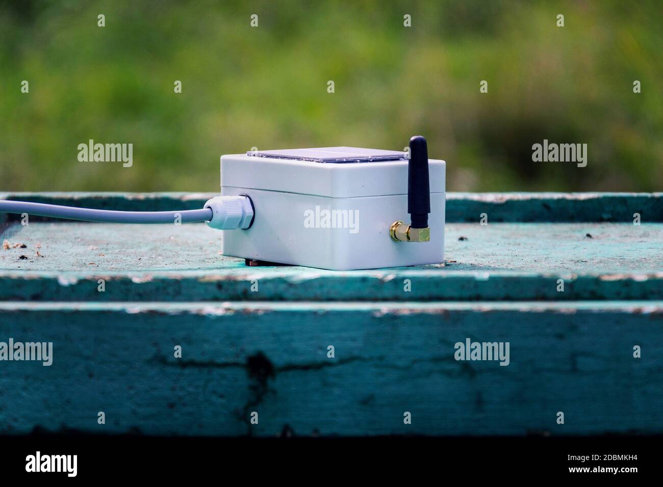 Weißer Sender mit kleinem Solarpanel und Bienen-Monitoring-System auf grünem Bienenstock aus Holz, intelligente Technologie iot-Anwendung Stockfoto