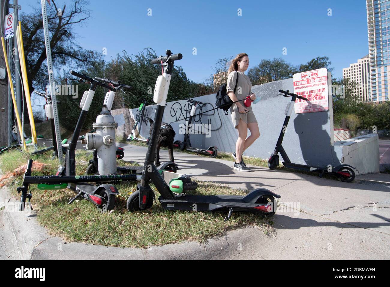 Austin, Texas, USA. November 2020. Elektro-Scooter Wurf die Ecken der First Street und Red River an einem Sonntagmorgen in der Innenstadt von Austin. Die beliebte Art, Austin's Stadtkern zu erkunden, hat eigene urbane Gefahren hervorgebracht, nachdem viele Gäste sie nach einer Nacht der Party im Rainey Street-Viertel auf Gehwege werfen. Quelle: Bob Daemmrich/ZUMA Wire/Alamy Live News Stockfoto