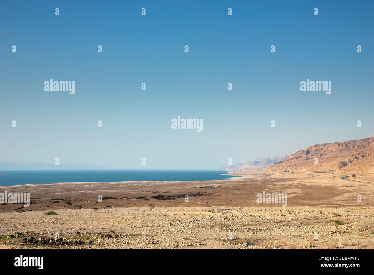 Küste des Toten Meeres, Jordanien Stockfoto