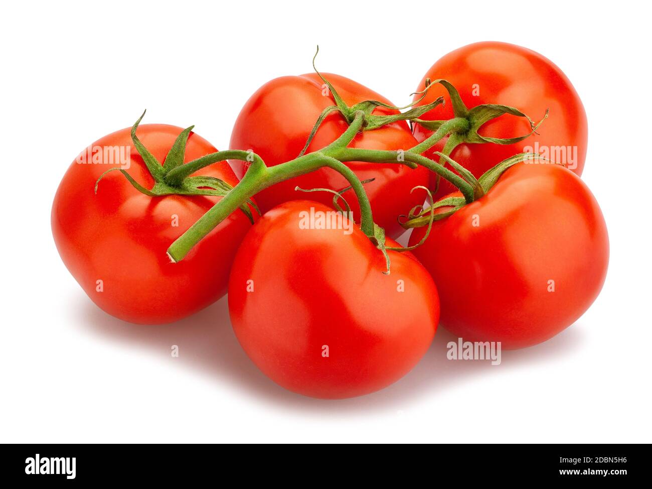 Tomate Zweig Pfad isoliert auf weißem Stockfoto