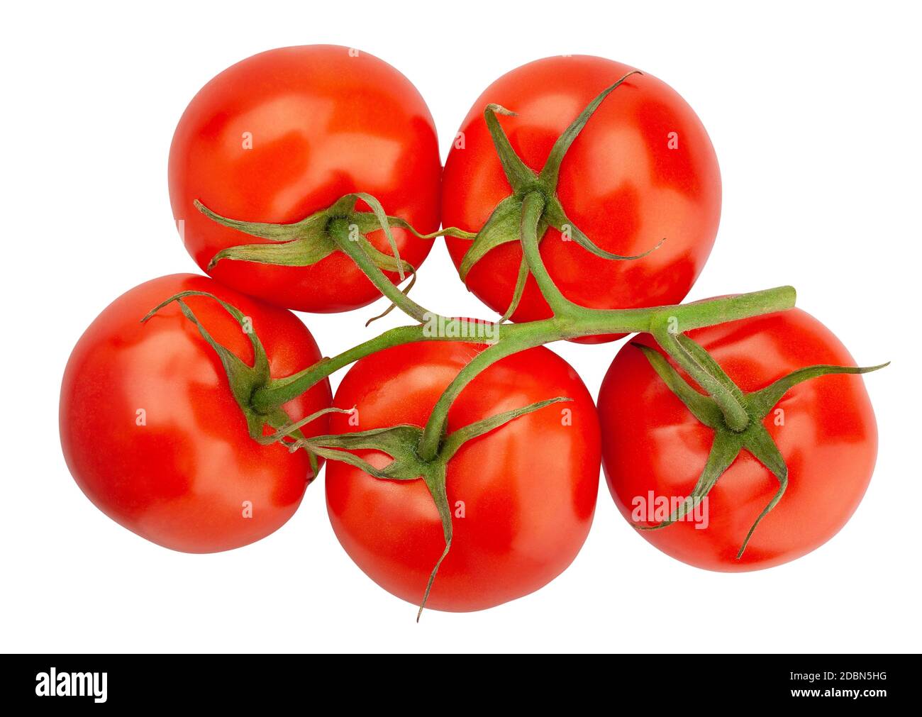 Tomatenzweig Weg isoliert auf weiß Draufsicht Stockfoto