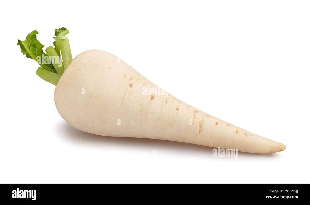 Daikon Radieschen Pfad isoliert auf weiß Stockfoto