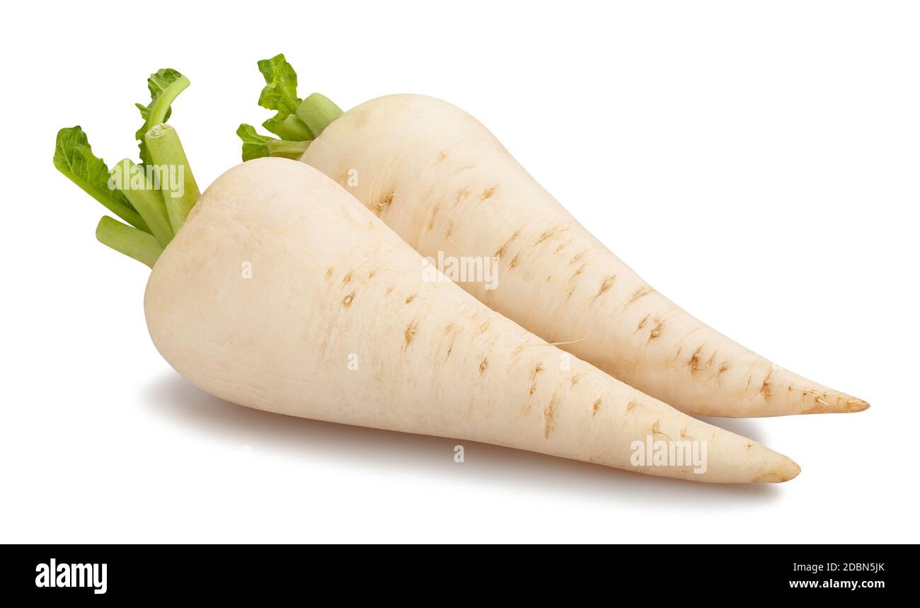 Daikon Radieschen Pfad isoliert auf weiß Stockfoto