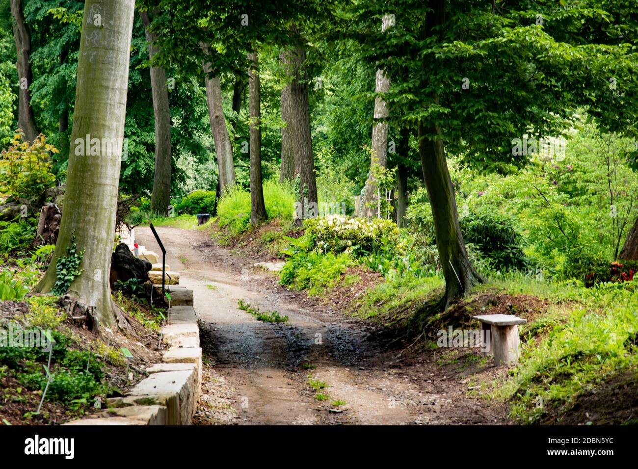 Weg in den alten grünen Park. Wunderschöne friedliche Landschaft. Schöne Aussicht auf die herrliche polnische Natur. Schöner grüner Sommerwald. Park Landschaft mit Stockfoto