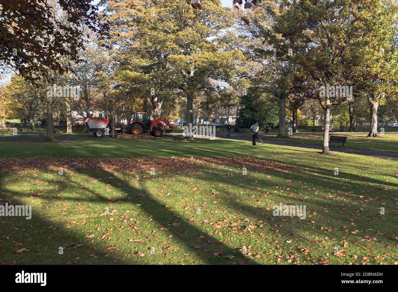 dh VICTORIA PARK ABERDEEN Rat Männer sammeln Herbstblätter in Parkland mit Traktor Blatt Sauger Ausrüstung Herbstfarben schottland Parks Stockfoto
