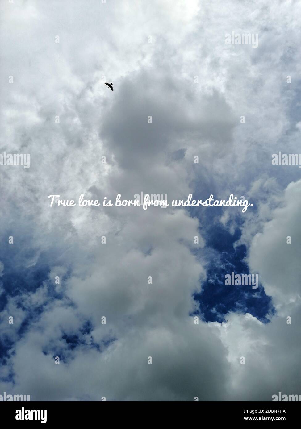 WAHRE LIEBE ENTSTEHT AUS VERSTÄNDNIS. Buddha Zitat auf dramatischen blauen Himmel Hintergrund Stockfoto