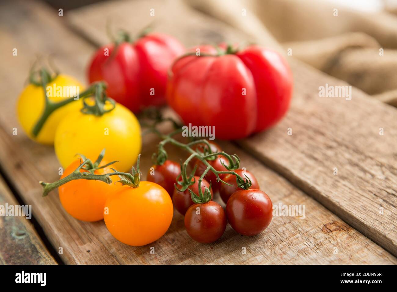 Eine Auswahl von ganzen Erbstück Tomaten auf einem hölzernen Hintergrund angezeigt. England GB Stockfoto