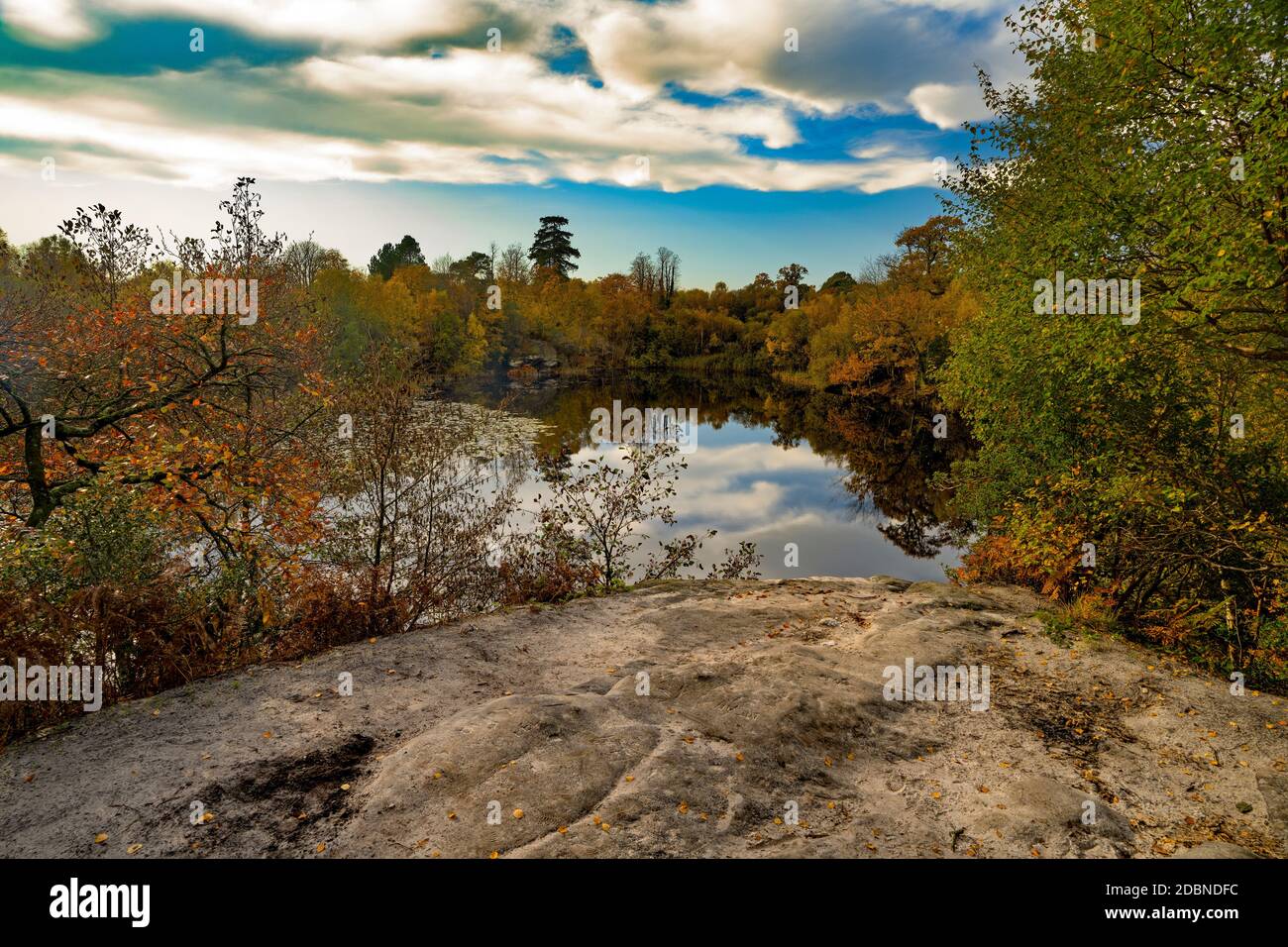 Herbst am Lake Wood, Uckfiled, East Sussex, England, Großbritannien. Stockfoto