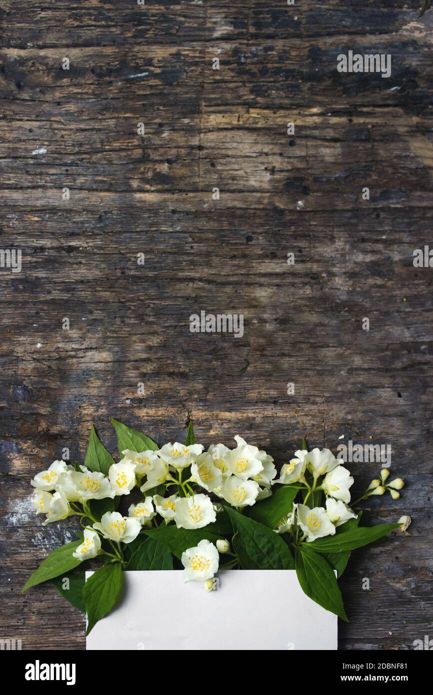 Blumenzusammensetzung für Valentinstag, Mutter oder Frauentag. Jasminblüten auf vintage Holzhintergrund, Bordüre. Flach liegend, Draufsicht, Kopie sp Stockfoto