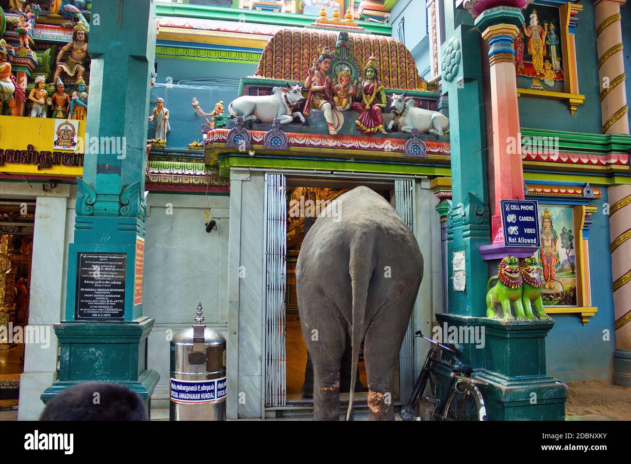 Pondicherry, Südindien - 30. Oktober 2018: Ein Elefant, der einen Aulmigu Manakula Vinayagar Hindu Tempel im Union Territorium von Puducherry betritt Stockfoto