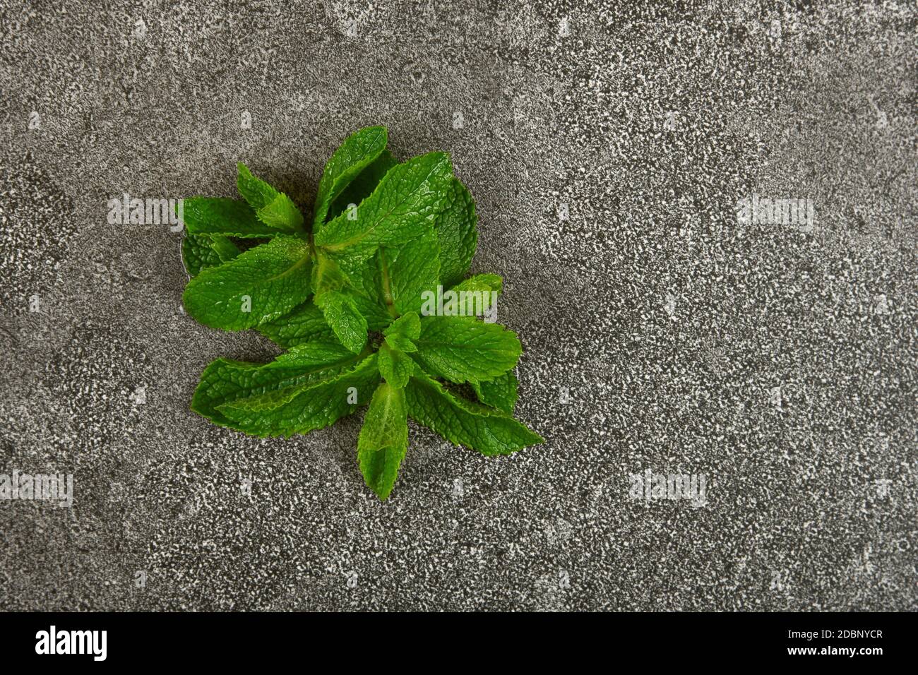 Nahaufnahme Haufen von frischen grünen Minzblättern auf grunge grauen Stein Tischfläche, erhöhte Draufsicht, direkt darüber Stockfoto