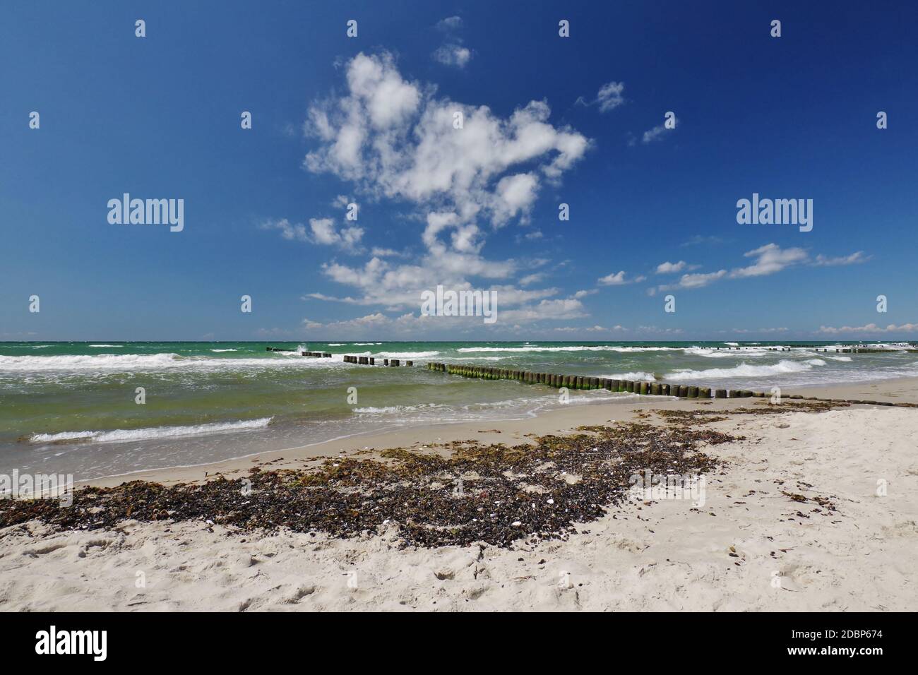 Am Strand bei Wustrow, Halbinsel 'Fischland-Darss-Zingst', Nationalpark 'Vorpommersche Boddenlandschaft', Ostsee, Mecklenburg-Vorpommern, Deutschland Stockfoto