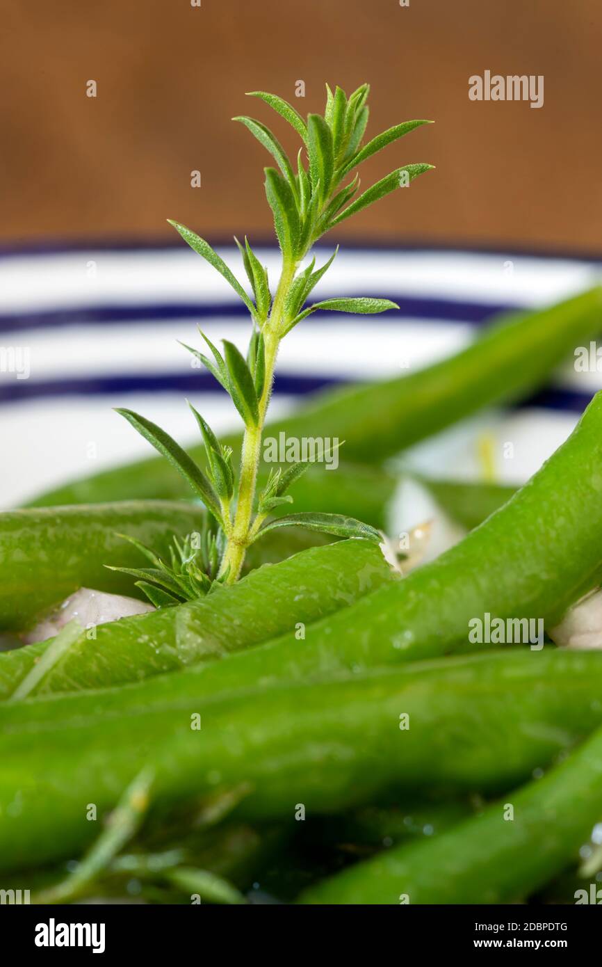 Salat aus grünen Bohnen Stockfoto